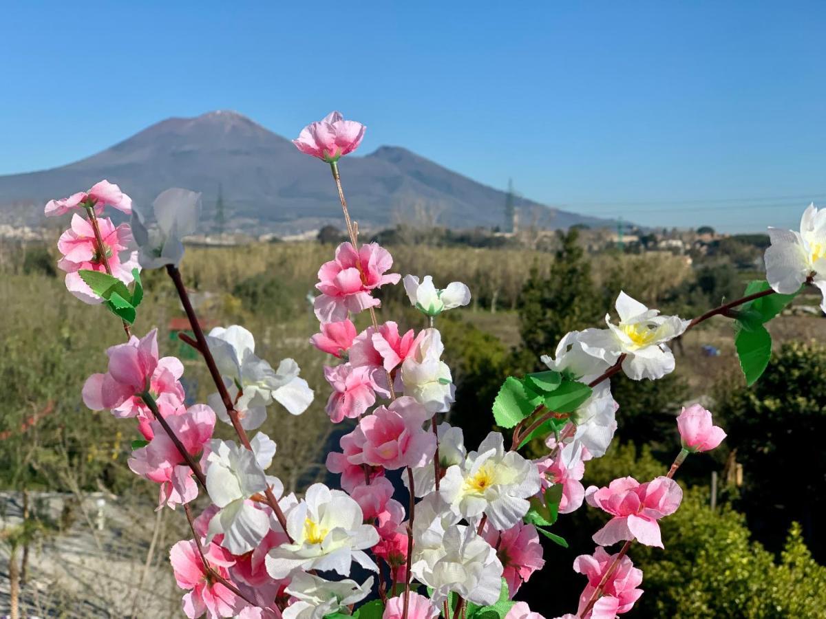 Villa Valentino Pompeji Екстер'єр фото